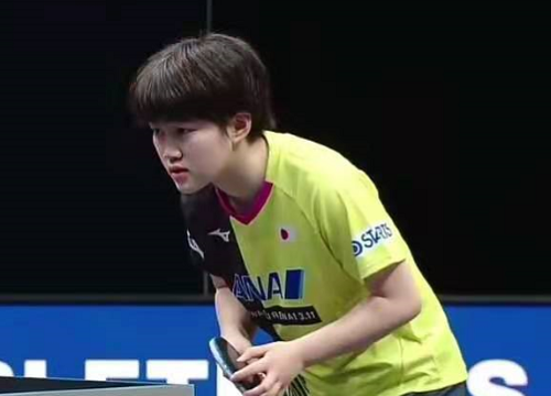 他们对球队 他们对球队